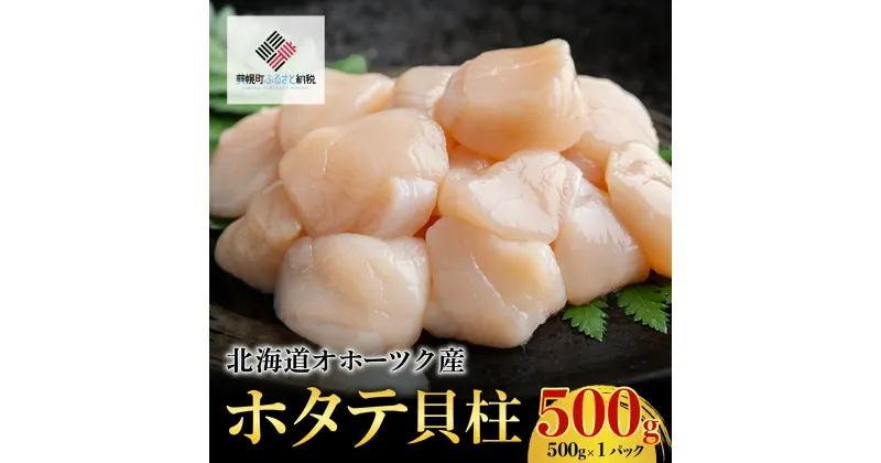 【ふるさと納税】北海道オホーツク産 ホタテ貝柱 500g×1パック【配送不可地域：離島】 ホタテ ほたて 貝柱 貝ばしら 北海道 美幌町 送料無料 BHRI016