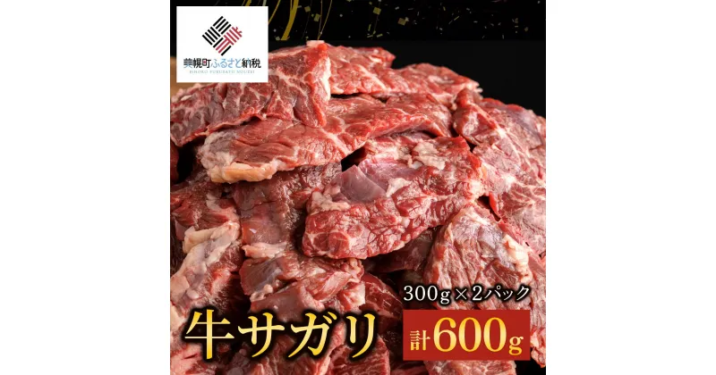 【ふるさと納税】【田村精肉店】牛サガリ（焼肉用）300g×2P／C 【配送不可地域：離島】 【 ふるさと納税 人気 ランキング おすすめ さがり サガリ 肉 牛肉 にく 牛 焼肉 牛サガリ 北海道 美幌町 送料無料 】 BHRJ018