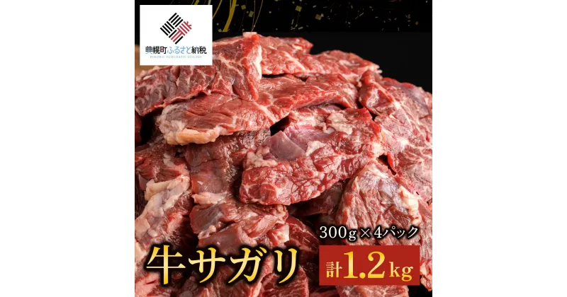 【ふるさと納税】【田村精肉店】牛サガリ（焼肉用）300g×4P／C 【配送不可地域：離島】 【 ふるさと納税 人気 ランキング おすすめ さがり サガリ 肉 牛肉 にく 牛 焼肉 牛サガリ 北海道 美幌町 送料無料 】 BHRJ019