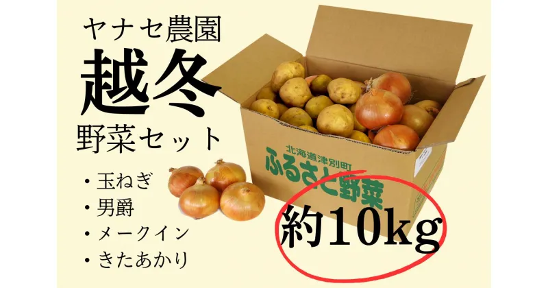 【ふるさと納税】越冬野菜セット 約10kg ヤナセ農園 【 ふるさと納税 人気 おすすめ ランキング 野菜 やさい ベジタブル 越冬野菜 越冬 玉ねぎ たまねぎ 玉葱 じゃがいも ジャガイモ じゃが芋 セット 詰合せ 詰め合わせ おいしい 美味しい 北海道 津別町 送料無料 】 TBTI015