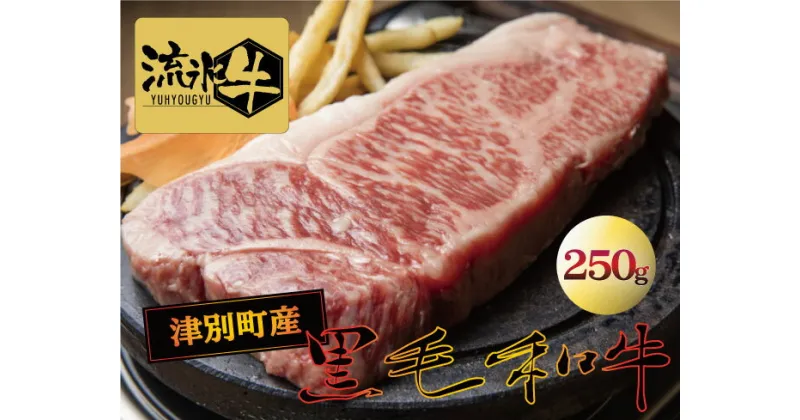 【ふるさと納税】流氷牛ステーキ肉 250g （サーロイン） 【 ふるさと納税 人気 おすすめ ランキング 肉 にく ニク 牛 和牛 黒毛和牛 希少 流氷牛 サーロイン ステーキ 今半 やわらかい 柔らかい とろける 旨味 うまみ おいしい 美味しい 北海道 津別町 送料無料 】 TBTR001