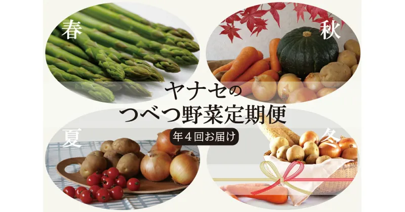 【ふるさと納税】つべつ野菜定期便 （年4回お届け） 【 ふるさと納税 人気 おすすめ ランキング 野菜 やさい ベジタブル 旬 旬の野菜 定期便 セット 詰合せ 詰め合わせ おいしい 美味しい 北海道 津別町 送料無料 】 TBTI016