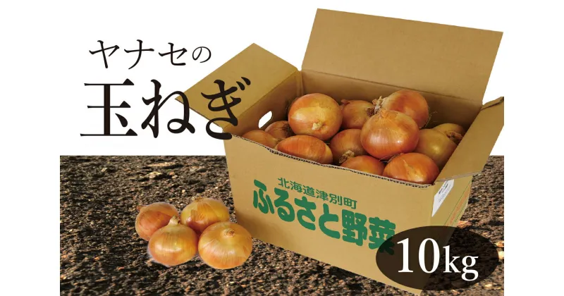 【ふるさと納税】R6年産 玉ねぎ 約10kg ヤナセ農園 【 ふるさと納税 人気 おすすめ ランキング 野菜 やさい 玉ねぎ たまねぎ タマネギ 玉葱 万能 便利 炒め物 煮物 おいしい 美味しい 北海道 津別町 送料無料 】 TBTI003