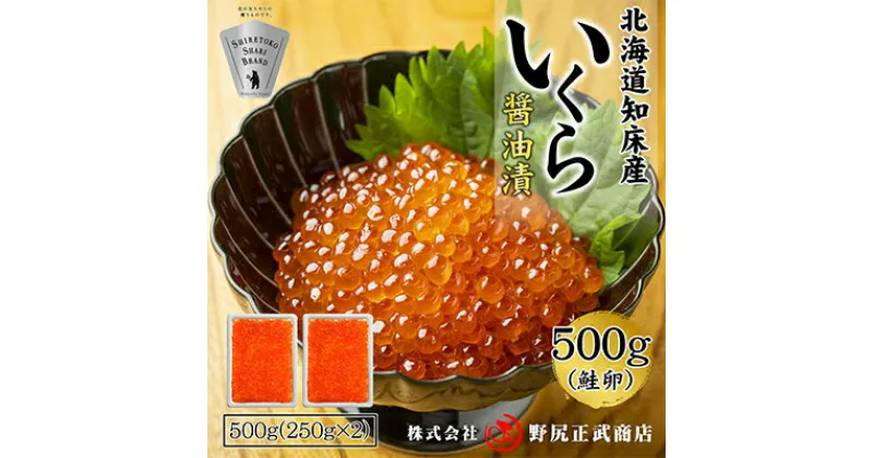 【ふるさと納税】北海道知床産 鮭いくら醤油漬け 500g(250g×2)【配送不可地域：離島・沖縄県】【1209680】