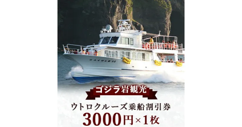 【ふるさと納税】ゴジラ岩観光【ウトロ港発着クルーズ乗船代金3000円割引券】【配送不可地域：離島・沖縄県】【1214314】