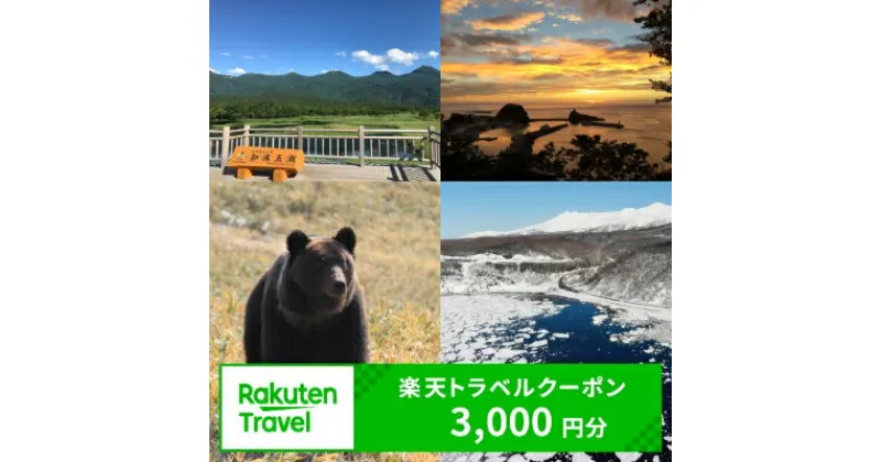 【ふるさと納税】北海道斜里町の対象施設で使える楽天トラベルクーポン　寄付額10,000円