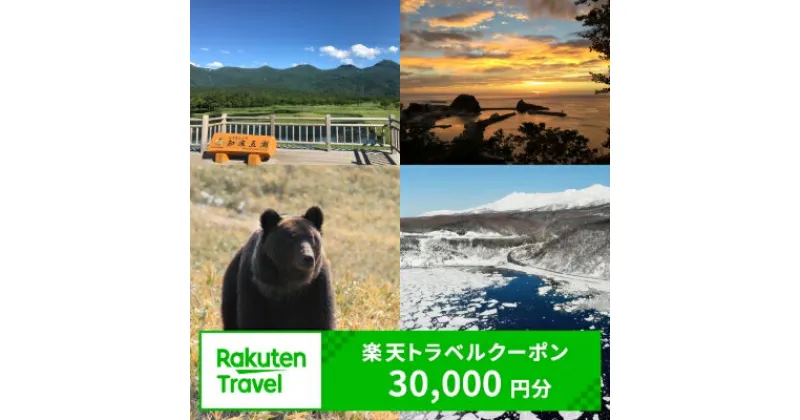 【ふるさと納税】北海道斜里町の対象施設で使える楽天トラベルクーポン　寄付額100,000円