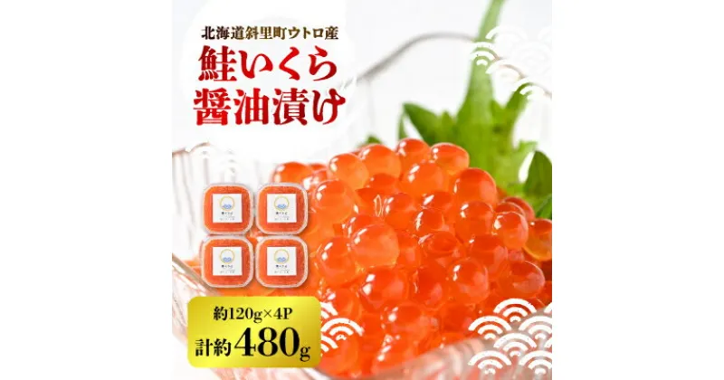 【ふるさと納税】【新物】鮭いくら醤油漬け　約120g×4パック【配送不可地域：離島・沖縄県】【1374834】