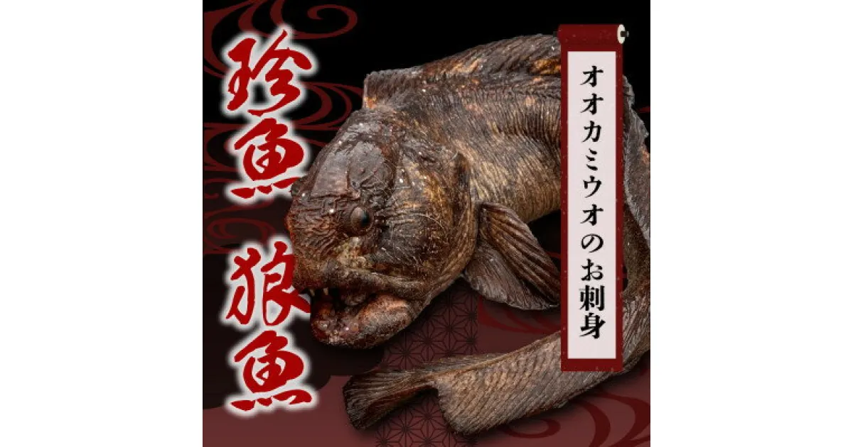 【ふるさと納税】＜数量限定＞知床斜里産の珍魚「オオカミウオ」!話題作りにいかがですか?【凍眠にて冷凍しています】【配送不可地域：離島・沖縄県】【1410131】