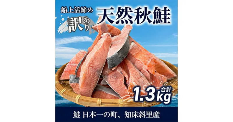 【ふるさと納税】【先行予約】【訳あり】知床斜里産 天然秋鮭の切り身 約1.3kg 船上活締め【配送不可地域：離島・沖縄県】【1430538】