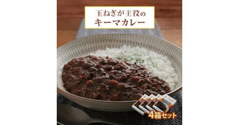 【ふるさと納税】玉ねぎが主役のキーマカレー 4箱セット【配送不可地域：離島・沖縄県】【1424881】