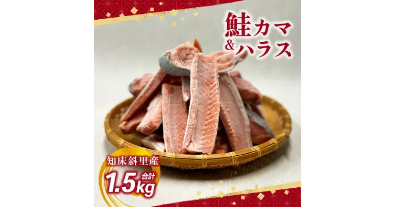 【ふるさと納税】【先行予約】＜数量限定＞ 知床斜里産 天然秋鮭カマ&ハラス 1.5kg 船上活締め【配送不可地域：離島・沖縄県】【1447515】