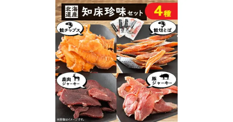 【ふるさと納税】知床珍味セット　鹿肉ジャーキーや鮭チップスのセット【配送不可地域：離島・沖縄県】【1479536】