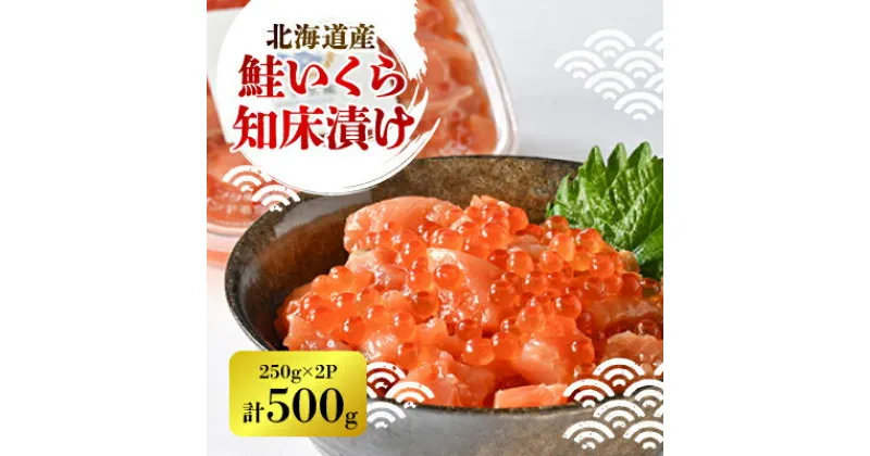 【ふるさと納税】【一度で二度おいしい】鮭といくらの知床漬け(250g)×2パック【配送不可地域：離島・沖縄県】【1532952】