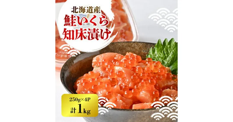 【ふるさと納税】【一度で二度おいしい】鮭といくらの知床漬け(250g)×4パック【配送不可地域：離島・沖縄県】【1532964】