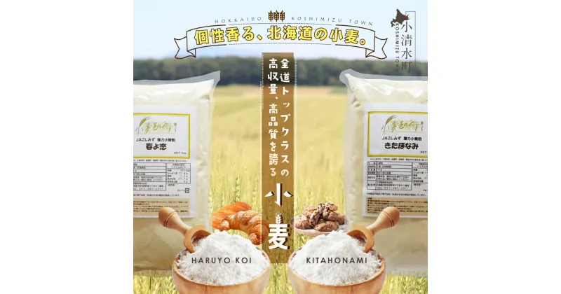 【ふるさと納税】北海道小清水町産小麦粉6kgセット（春よ恋1kg×3袋・きたほなみ1kg×3袋）【01014】