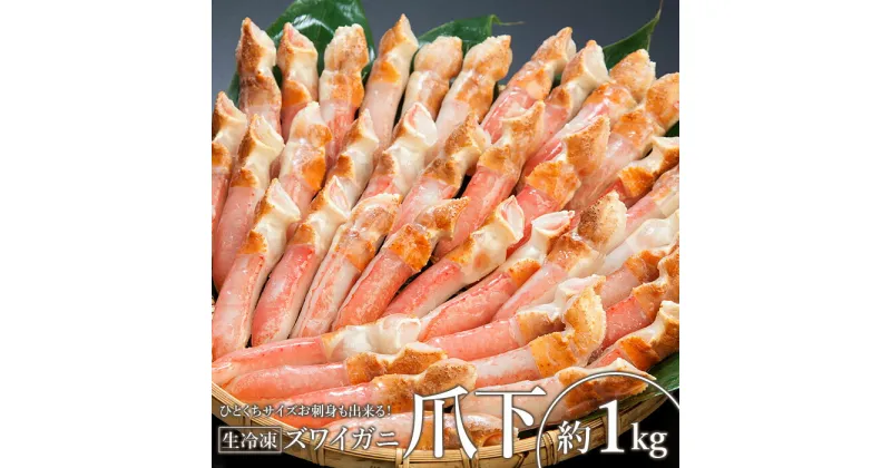 【ふるさと納税】ひとくちサイズ お刺身も出来る！生冷凍ずわい蟹爪下 約1kg【03035a】