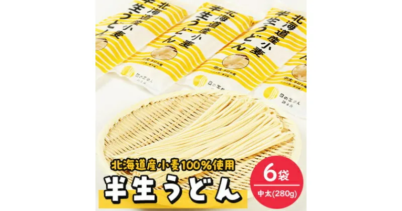 【ふるさと納税】半生うどん(中太)280g×6袋【配送不可地域：離島・沖縄県】【1291522】