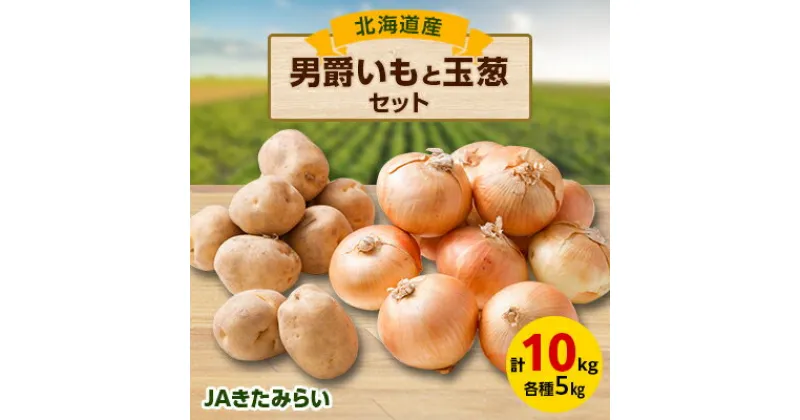 【ふるさと納税】JAきたみらい「男爵いも×5kg」と「玉葱×5kg」セット【配送不可地域：離島・沖縄県】【1292830】