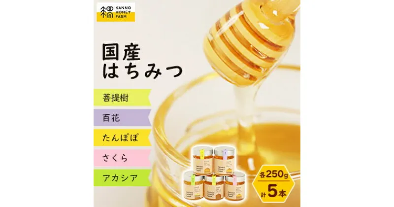 【ふるさと納税】菅野養蜂場　国産はちみつ250g　5種類欲張りセット【配送不可地域：離島・沖縄県】【1091172】