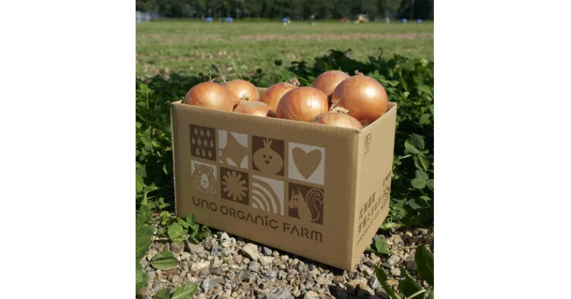 【ふるさと納税】UNO ORGANIC FARMの北海道　訓子府産　有機玉ねぎ　3kg【配送不可地域：離島・沖縄県】【1455333】