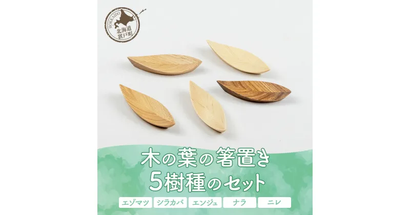 【ふるさと納税】木の葉の箸置き 5樹種のセット（材質：エゾマツ、シラカバ、エンジュ、ナラ、ニレ各1個 計5個） 【 ふるさと納税 箸 箸おき 箸置き セット 木 木製 エゾマツ 蝦夷松 シラカバ 白樺 樺 ナラ 楢 ニレ 楡 エンジュ 槐 北海道 置戸町 送料無料 】 OTA005