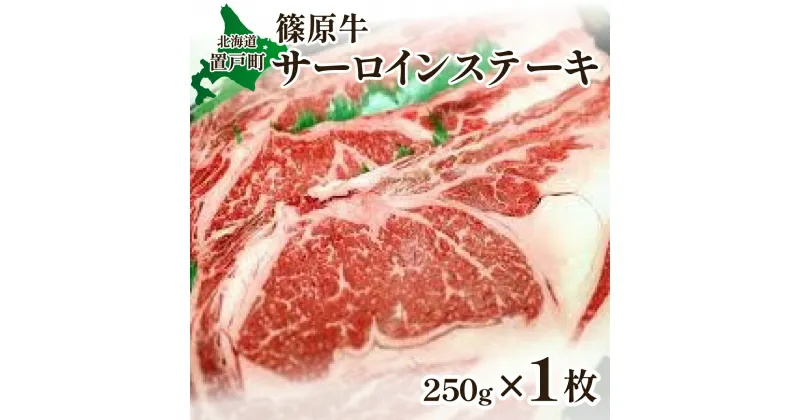 【ふるさと納税】篠原牛サーロインステーキ 約250g×1枚 ふるさと納税 人気 おすすめ ランキング 牛 牛肉 ステーキ サーロインステーキ サーロイン にく きたみらい牛 国産牛 肉牛 柔らかい 肉 ミート ビーフ ギフト プレゼント 贈答 北海道 置戸町 送料無料 OTC001