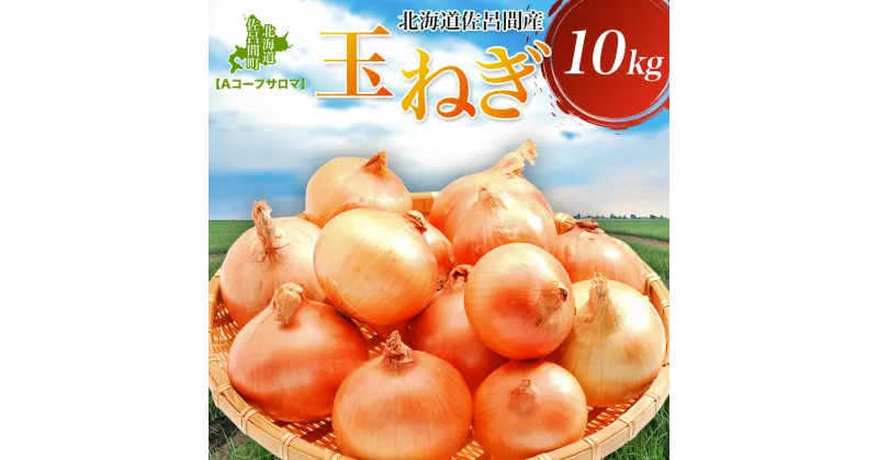 【ふるさと納税】玉ねぎ 10kg 北海道 佐呂間産（2025年10月出荷開始先行予約） 【 ふるさと納税 人気 おすすめ ランキング 野菜 玉ねぎ タマネギ たまねぎ おいしい 美味しい 新鮮 北海道 佐呂間町 送料無料 】 SRMM019