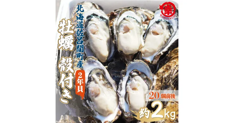 【ふるさと納税】カキ 殻付き 2年貝 約2kg（20個前後） 佐呂間産 【 ふるさと納税 人気 おすすめ ランキング 牡蠣 カキ かき 貝 牡蠣貝 殻付き ギフト 贈答 バーベキュー 冷蔵 海鮮 オホーツク 北海道 佐呂間町 送料無料 】 SRMA012