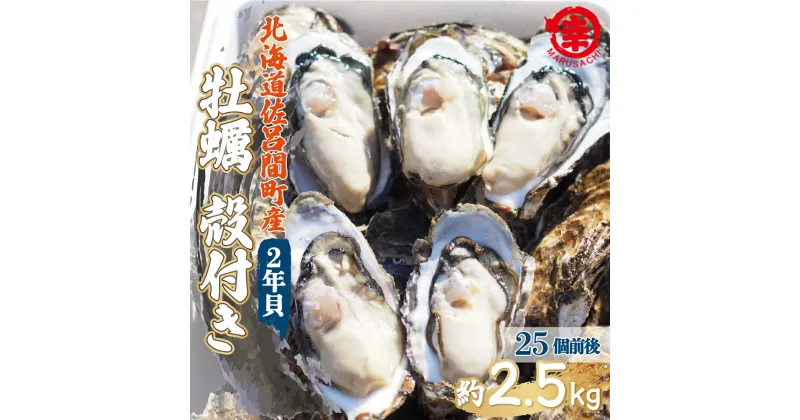 【ふるさと納税】カキ 殻付き 2年貝 約2.5kg（25個前後） 佐呂間産 【 ふるさと納税 人気 おすすめ ランキング 牡蠣 カキ かき 貝 牡蠣貝 殻付き ギフト 贈答 バーベキュー 冷蔵 海鮮 オホーツク 北海道 佐呂間町 送料無料 】 SRMA002