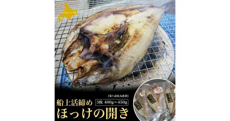 【ふるさと納税】船上活締め ほっけの開き 3枚 400g～450g 【 ふるさと納税 人気 おすすめ ランキング 魚介類 魚 ほっけ ホッケ 開き ほっけの開き ホッケの開き 新鮮 北海道 佐呂間町 送料無料 】 SRMN019