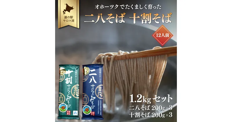 【ふるさと納税】二八そば 十割そば 1.2kgセット（各200g×3） 12人前 佐呂間産 【 ふるさと納税 人気 おすすめ ランキング 加工食品 麺類 そば 蕎麦 ソバ 二八そば 十割そば 二八ソバ 十割ソバ 北海道 佐呂間町 送料無料 】 SRMI025