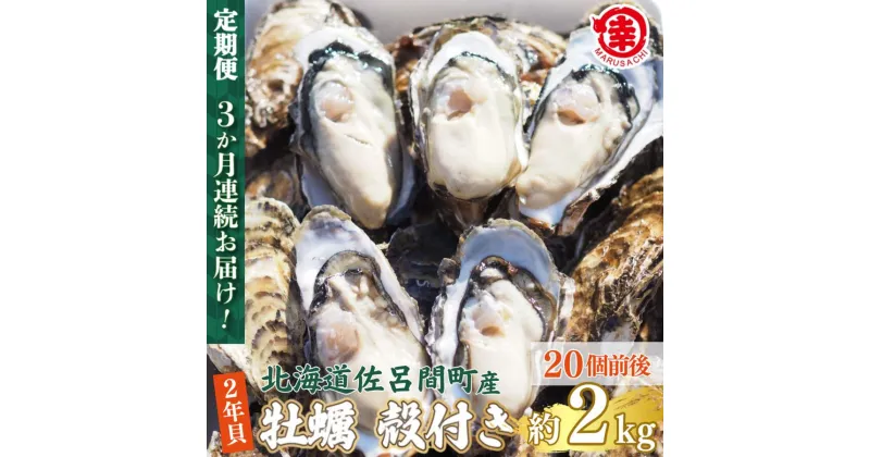 【ふるさと納税】カキ 殻付き 2年貝 約2kg（20個前後） 佐呂間産 ［3回定期便］ 【 ふるさと納税 人気 おすすめ ランキング 牡蠣 カキ かき 貝 殻付き ギフト 贈答 冷蔵 定期便 オホーツク 北海道 佐呂間町 送料無料 】 SRMA039