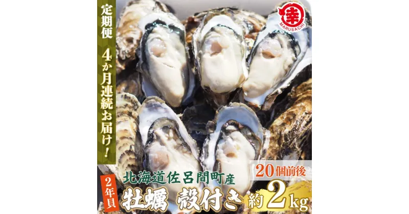 【ふるさと納税】カキ 殻付き 2年貝 約2kg（20個前後） 佐呂間産 ［4回定期便］ 【 ふるさと納税 人気 おすすめ ランキング 牡蠣 カキ かき 貝 牡蠣貝 殻付き ギフト 贈答 冷蔵 定期便 北海道 佐呂間町 送料無料 】 SRMA040