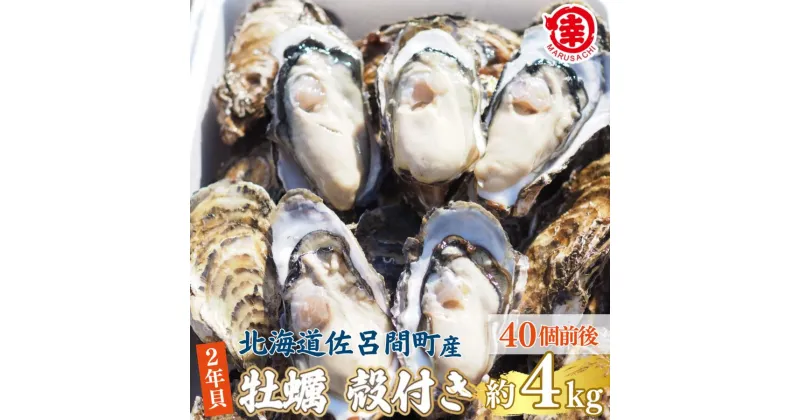 【ふるさと納税】カキ 殻付き 2年貝 約4kg（40個前後） 佐呂間産 【 ふるさと納税 人気 おすすめ ランキング 牡蠣 カキ かき 貝 牡蠣貝 殻付き ギフト 贈答 酒蒸し 冷蔵 海鮮 オホーツク 北海道 佐呂間町 送料無料 】 SRMA041