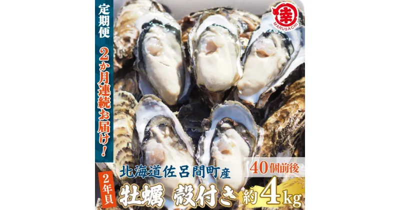 【ふるさと納税】カキ 殻付き 2年貝 約4kg（40個前後） 佐呂間産 ［2回定期便］ 【 ふるさと納税 人気 おすすめ ランキング 牡蠣 カキ かき 貝 牡蠣貝 殻付き ギフト 贈答 冷蔵 海鮮 オホーツク 北海道 佐呂間町 送料無料 】 SRMA042