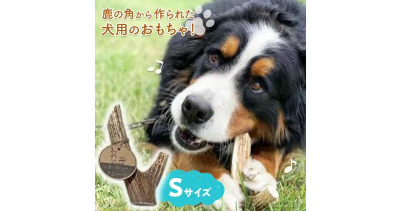 【ふるさと納税】シカのおとしもの キミのたからもの（Sサイズ）