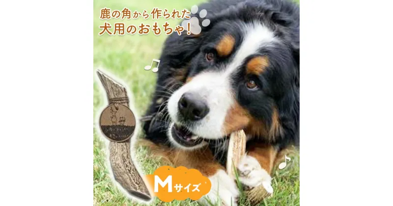 【ふるさと納税】シカのおとしもの キミのたからもの（Mサイズ）