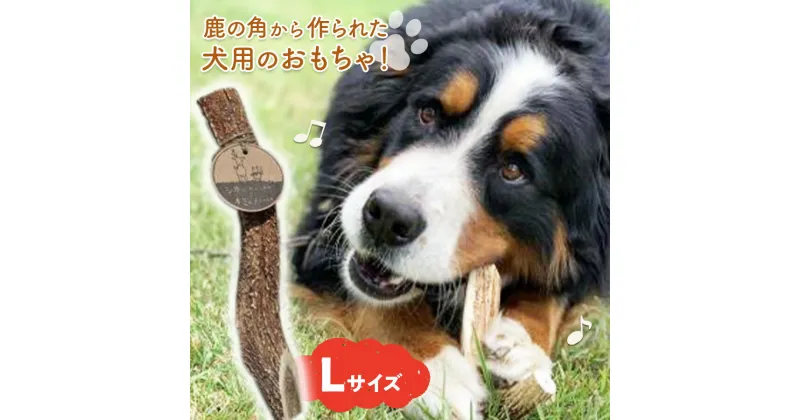 【ふるさと納税】シカのおとしもの キミのたからもの（Lサイズ）