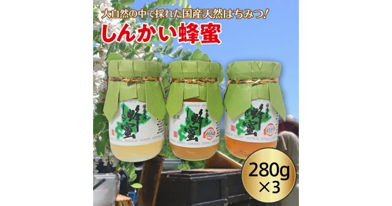 【ふるさと納税】国産天然 しんかい蜂蜜（280g×3本）