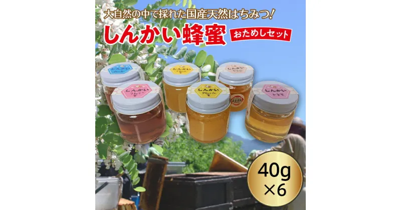 【ふるさと納税】国産天然 しんかい蜂蜜おためしセット