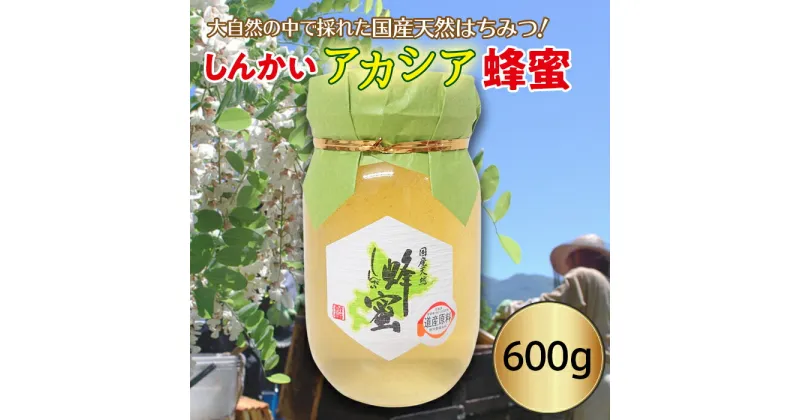 【ふるさと納税】国産天然 しんかいアカシア蜂蜜（600g）