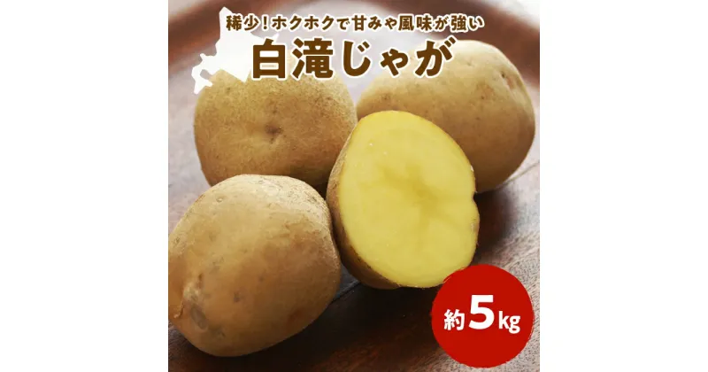 【ふるさと納税】2024白滝じゃが 約5kg