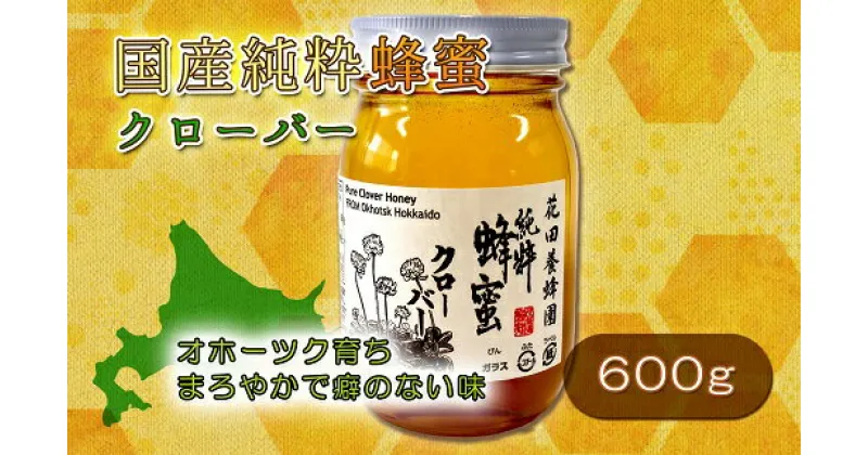 【ふるさと納税】国産純粋クローバー蜂蜜（600g）