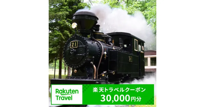 【ふるさと納税】北海道遠軽町の対象施設で使える楽天トラベルクーポン 寄附額100,000円