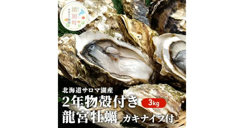 【ふるさと納税】【国内消費拡大求む】先行予約 北海道 サロマ湖産 龍宮牡蠣 3kg（ 2年物 殻付き カキ ）カキナイフ付 牡蠣 海鮮 魚介 国産 貝付き 生牡蠣 生食 焼き牡蠣 蒸し牡蠣 冷蔵 産地直送 オホーツク　湧別町　お届け：2024年11月～12月10日