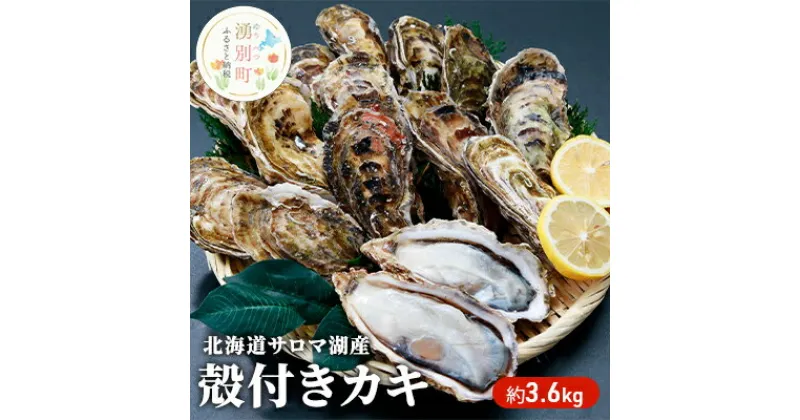 【ふるさと納税】【国内消費拡大求む】 北海道 サロマ湖産 カキ 約3.6kg 牡蠣 海鮮 魚介 国産 殻付き 貝付き 生食 焼き牡蠣 蒸し牡蠣 冷蔵 産地直送 オホーツク　魚貝類・生牡蠣・かき・カキ・牡蠣・殻付きカキ・約3.6kg　お届け：2024年11月～2025年1月中旬頃まで