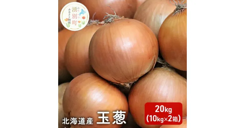 【ふるさと納税】北海道産 玉葱 20kg （10kg×2箱） たまねぎ 玉ねぎ 国産 産地直送 オホーツク　野菜・玉ねぎ・たまねぎ　お届け：2023年10月1日～12月28日頃まで