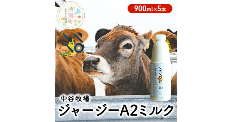 【ふるさと納税】中谷牧場 ジャージー A2ミルク 900ml×5本 ジャージー牛 やさしい 国産 オホーツク 北海道　 牛乳 北海道産 オホーツク ジャージー牛乳 飲み物 朝食 生乳 牧場のミルク 牧場の牛乳 こども