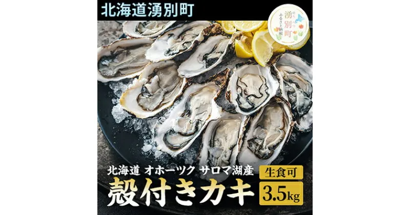 【ふるさと納税】先行予約 【国内消費拡大求む】 北海道 オホーツク サロマ湖産 殻付き カキ 生食可 3.5kg 牡蠣職人厳選 牡蠣 国産 貝付き　 魚貝類 生牡蠣 ノロウイルス検査実施 海のミルク 海鮮 海の幸 つまみ 晩酌 お酒のあて 　お届け：2024年11月～2025年1月末まで